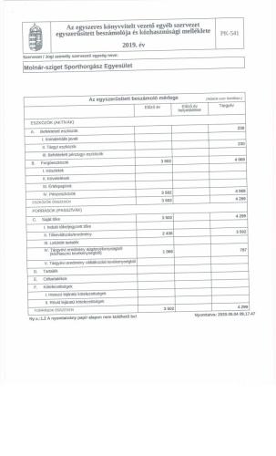 molnarszigethe 1589378594 2019 evi beszamolo zR9h NAGYKEP
